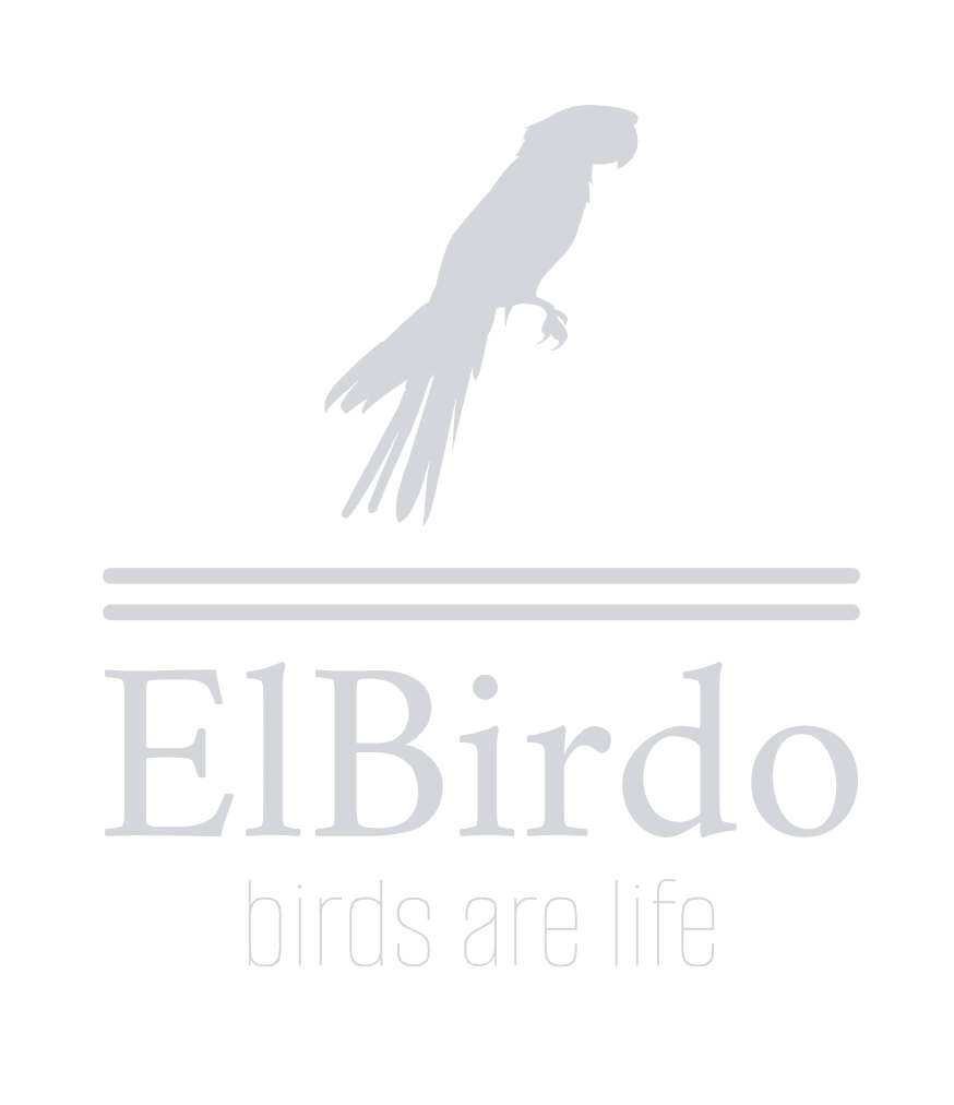 ElBirdo (not elbarto)